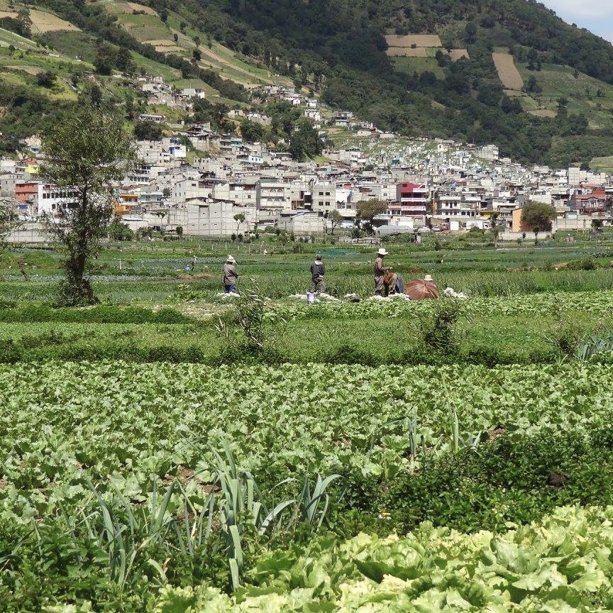 Guatemala